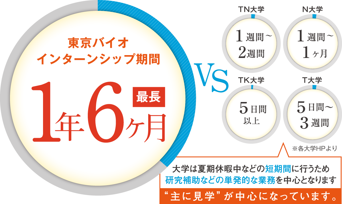 大学とは比較にならない長期インターンシップ