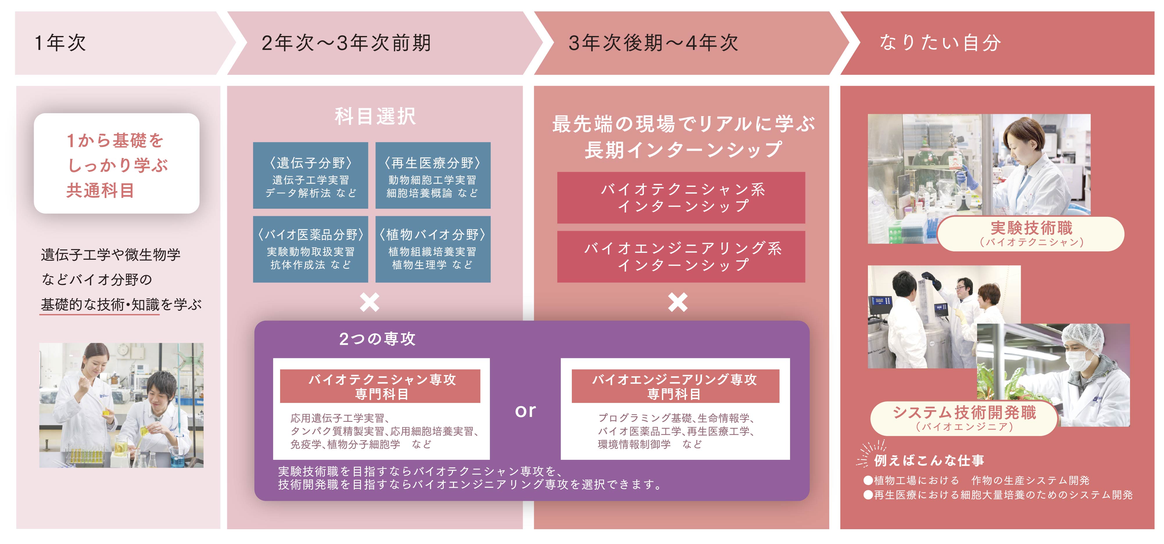 4年制カリキュラム