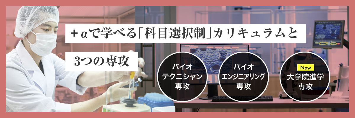 +αで学べる「科目選択」カリキュラムと２つの専攻