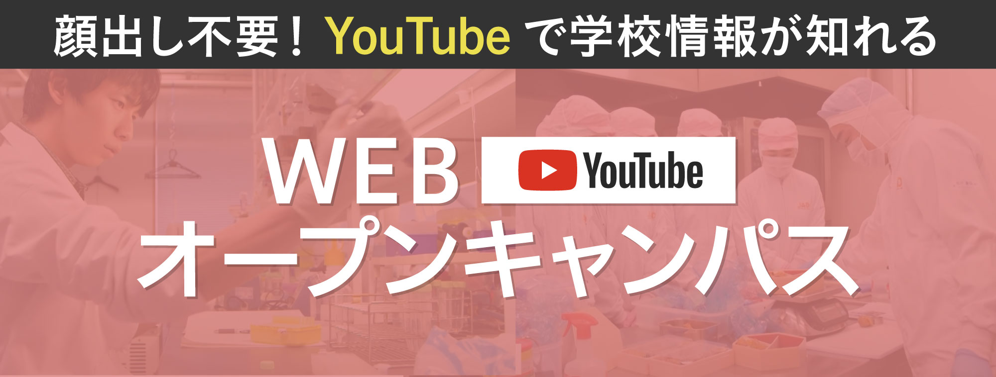 WEBOC