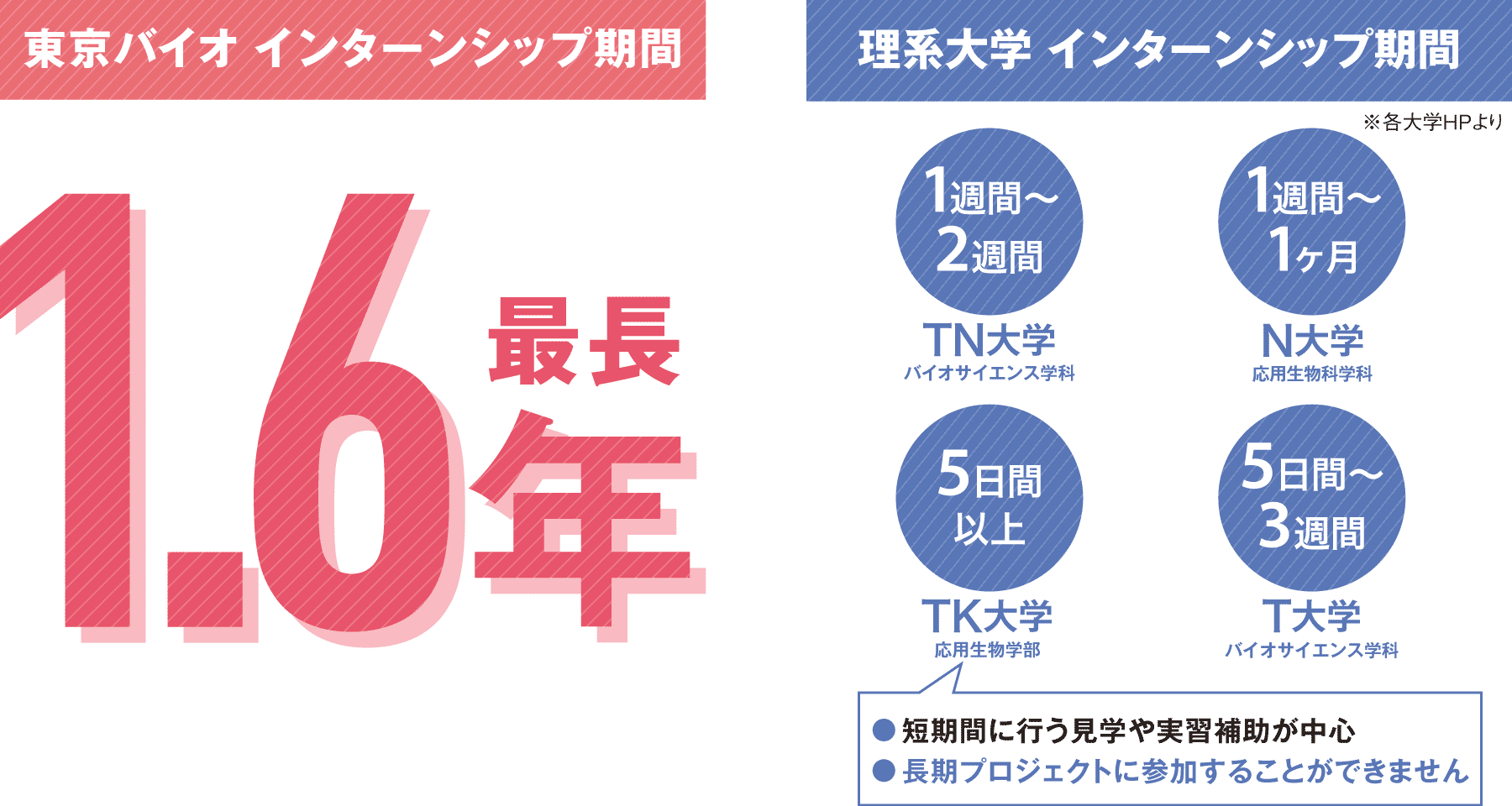 大学とは比較にならない長期インターンシップ
