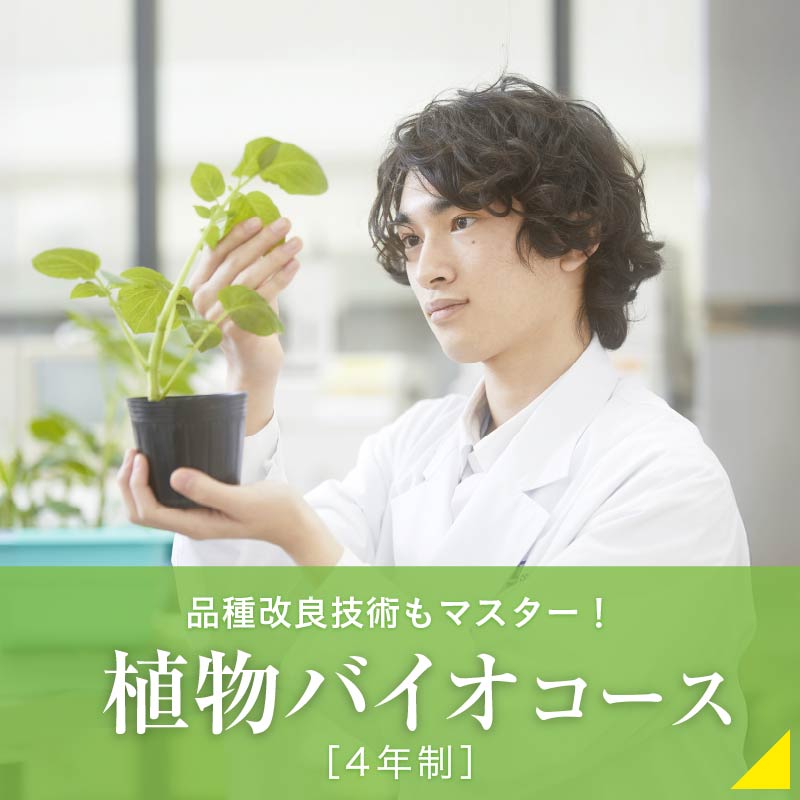 植物バイオコース