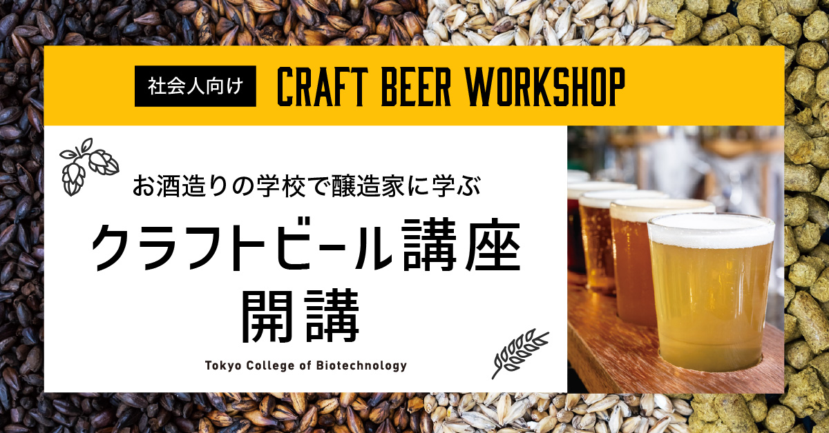 社会人ビール講座