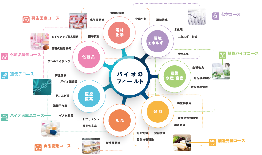 AI導入によるバイオテクノロジーの発展 バイオテクノロジーシリーズ/植田充美 AI導入によるバイオテクノロジーの発展 バイオテクノロジーシリーズ/植田充美