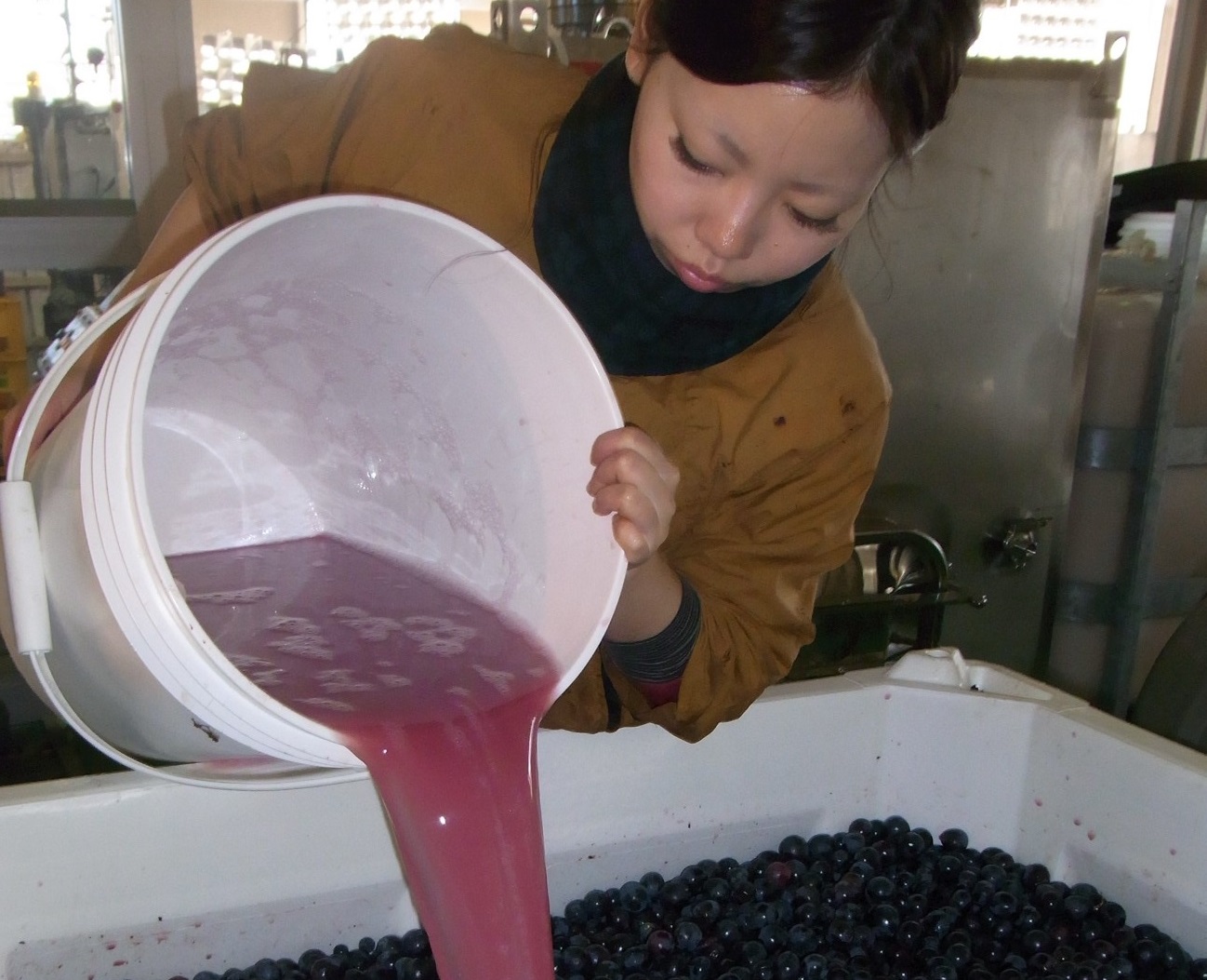 【ワイン醸造プログラム】ワインを作ることって難しい？ 東京バイオテクノロジー専門学校