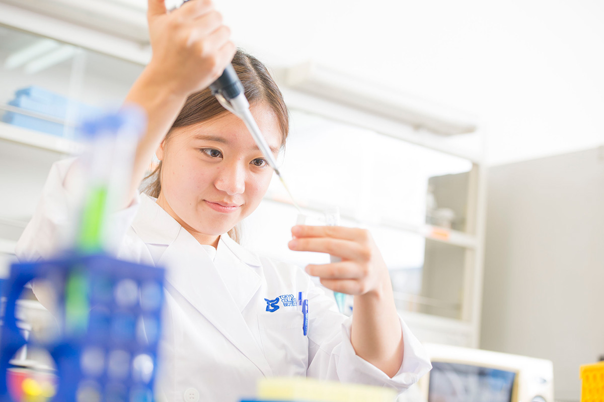 DNA学科イメージ